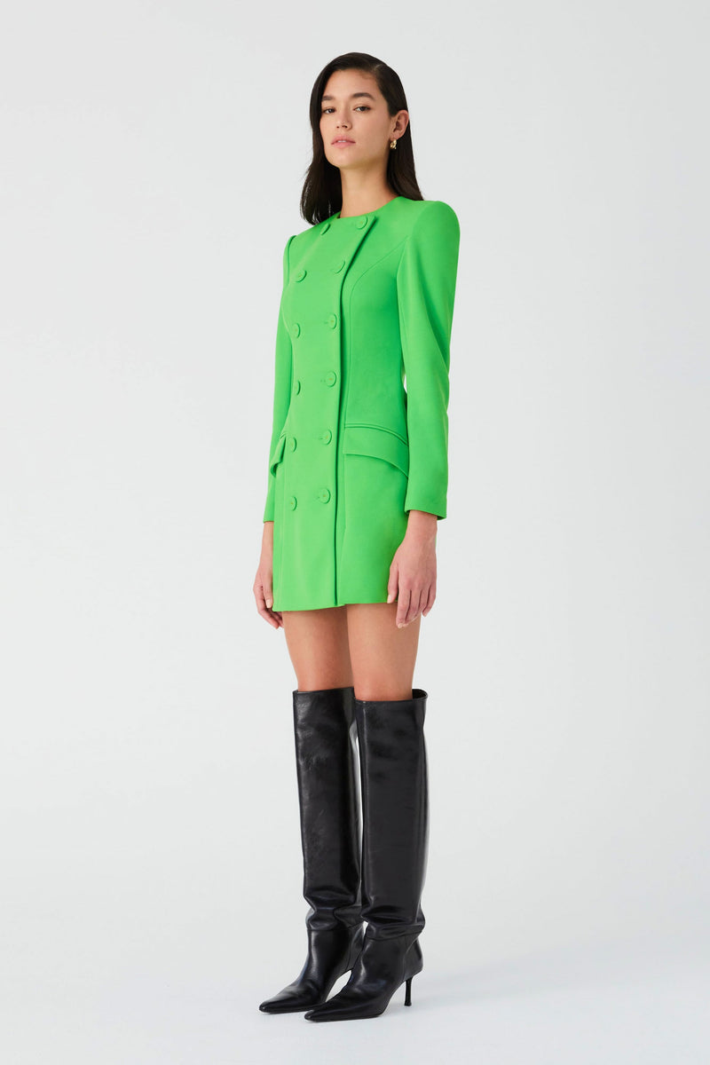 CAISYN MINI DRESS