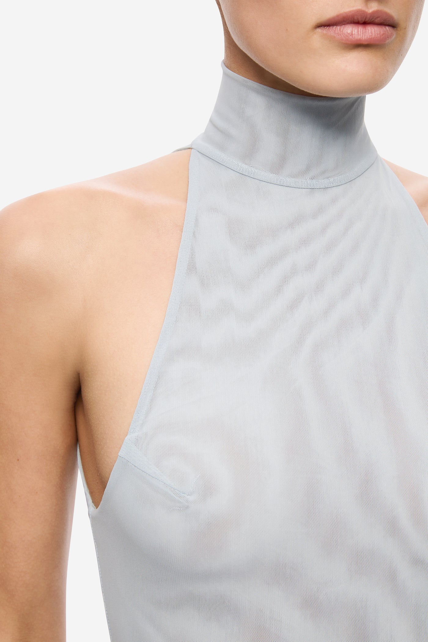 THE SIPARIO MESH  DRESS